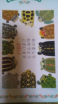 かめグッズ