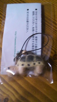 かめグッズ