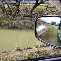 釣り場開拓のつもりだったけど−