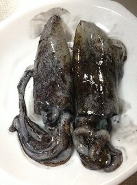 久々の単独釣行なり