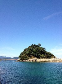 若狭高浜海釣り公園に行ってみたｗ